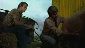 Close Encounters Of The Wrong Kind - Part 1