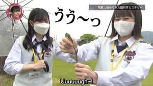 Episode 33
