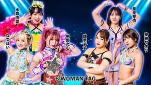 Stardom in Toyohashi