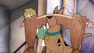 Zoinks the Wonder Dog