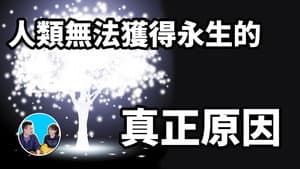 Episode 27
