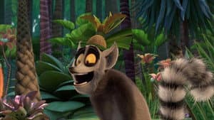 Enter the Fanaloka