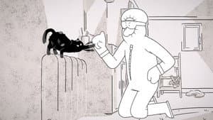 Wetty catty