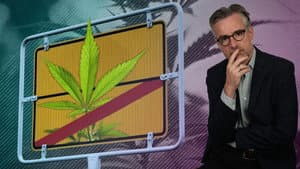 Legalising Cannabis: A Good Idea?
