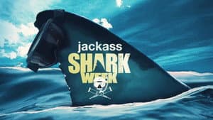 Shark Week 1.0