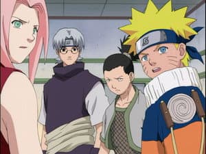 Genin Takedown! All Nine Rookies Face Off!