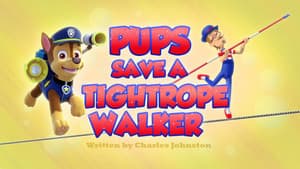 Pups Save a Tightrope Walker