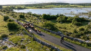 Killarney & Burren