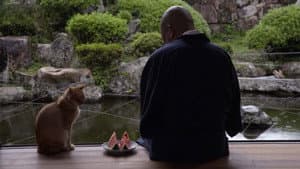 Tottori: Quiet Mountain Villages