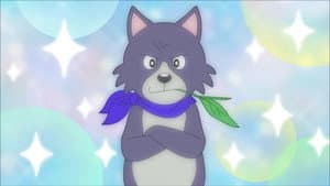 The ninja dog