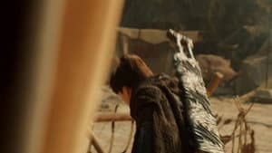 Episode 11