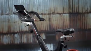 Berets, Pastis, Stationary Bikes