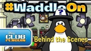 Behind The Scenes