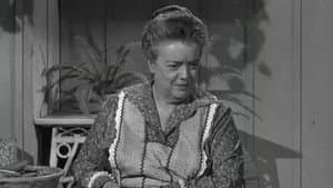 Aunt Bee's Brief Encounter