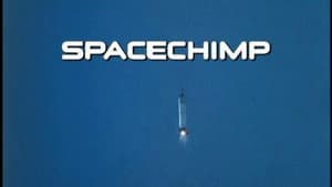 Spacechimp