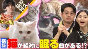Episode 31