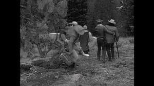 The Long Hunt
