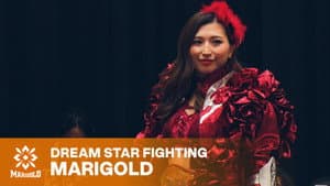 Marigold Shining Attack 2026 ~ Day 10