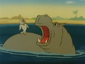 Safari