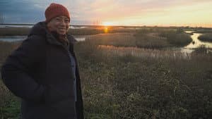 Romney Marsh