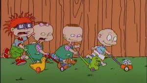 Chuckie's A Lefty