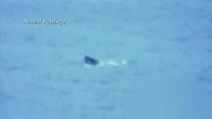 I Escaped Jaws