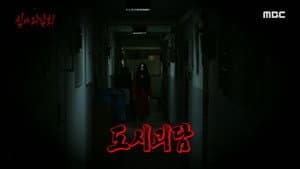 Episode 27