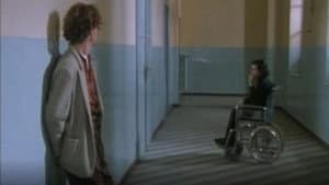 Una vita a metà