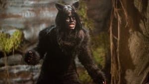 The Wicked Cat