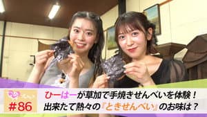 Episode 86