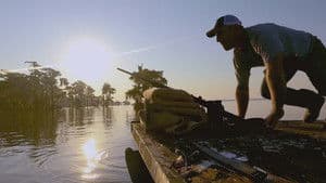 No Easy Gator
