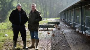 Wales to Lancashire - Chicken and Mushrooms