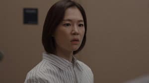 What Habin Saw