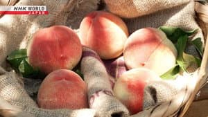 Peaches