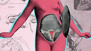 Are We Wasting Period Blood?