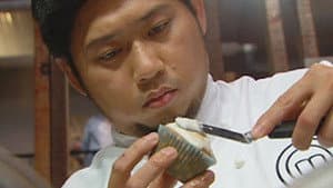 Immunity Battle