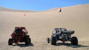 Looney Dunes