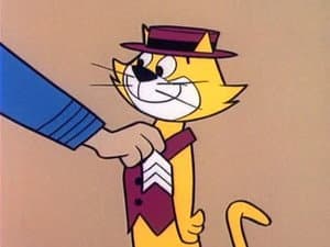 Sergeant Top Cat