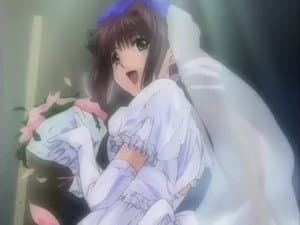 Kranke Ren Nanase