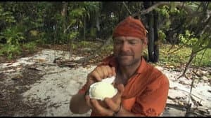 South Pacific