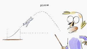 Parabolic Flight