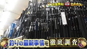 Episode 243