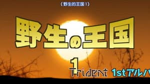 Episode 17