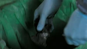 Hippocratic Oath (2)