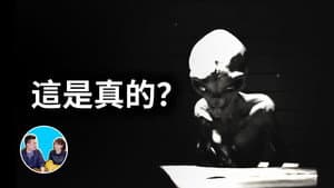 Episode 242
