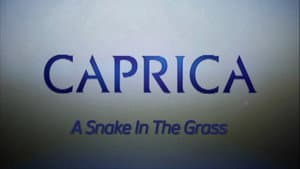 Video Blogs: A Snake In The Grass