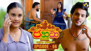 Episode 66