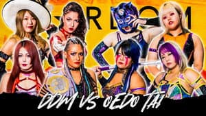 Stardom Year-End Tour 2023 in Niigata