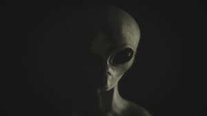 UFO Sightings