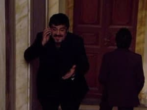 Use Force, Ferretti